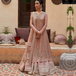 Indian-Women-Pure-Organza-Maxi-Suit-4