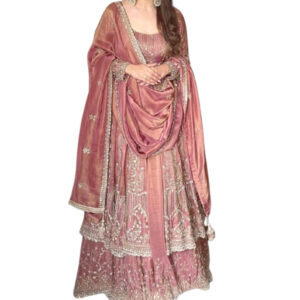 Crunchy Silk Lace Embroidery Work light pink Colour Gown