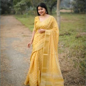 Kalyani Silk Saree with Zari Checks & Rich Zari Pallu